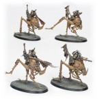 Ash Waste Nomads Dustback Helamites